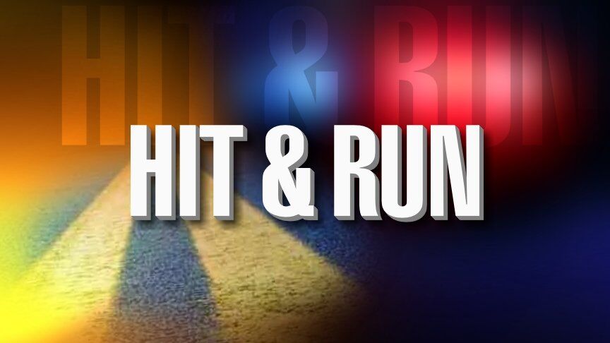 Authorities investigating fatal hit and run